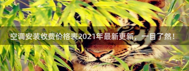 环球360官网手机版特色功能在哪
