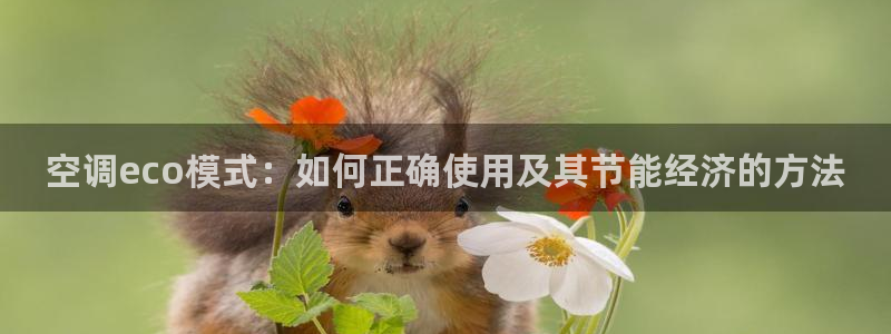 环球360官网手机版特色功能在哪