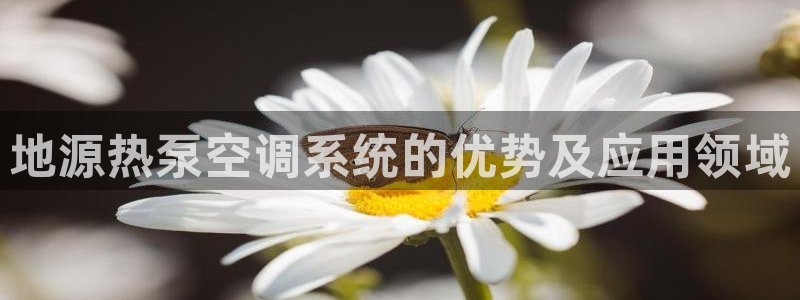 环球360登录入口官网