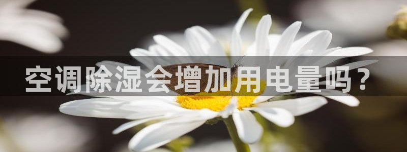 环球360网站最新官网地址在哪里