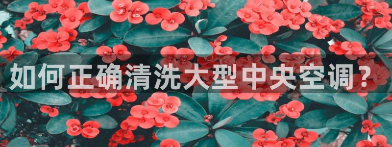 环球360会员登录不上去