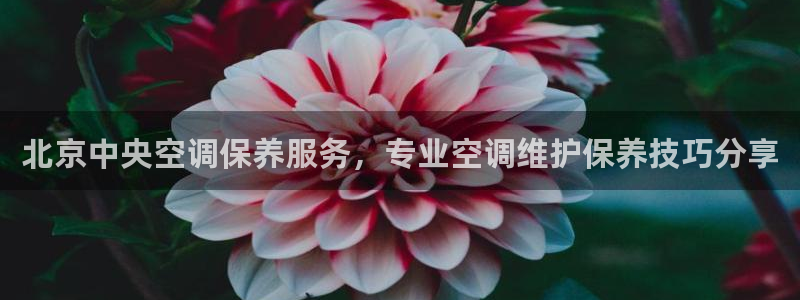 环球360客服电话