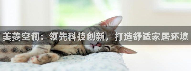 环球360官网手机版下载地址查询