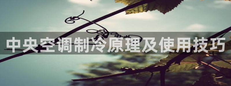 环球360会员注册 - 环球360手机版登录入口