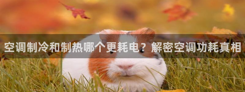 环球360官网手机版网址是多少
