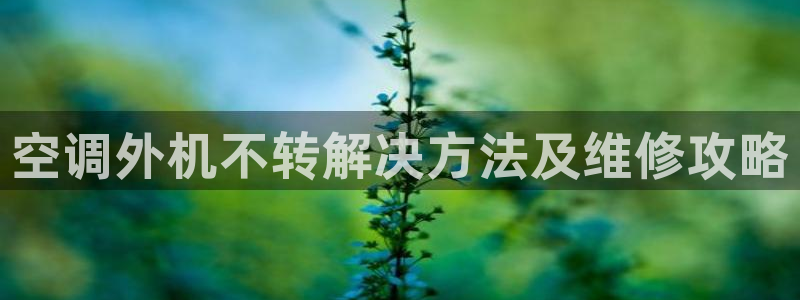 环球360会员登录不上去