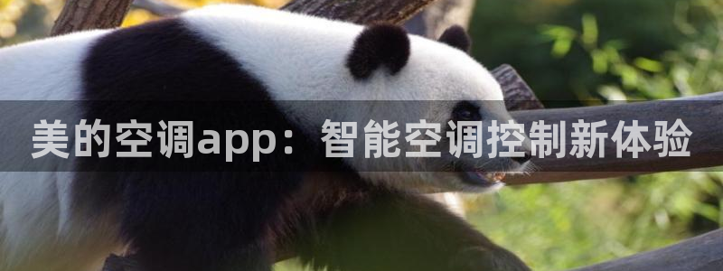 环球360官网占成