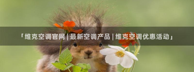 环球360app下载安装