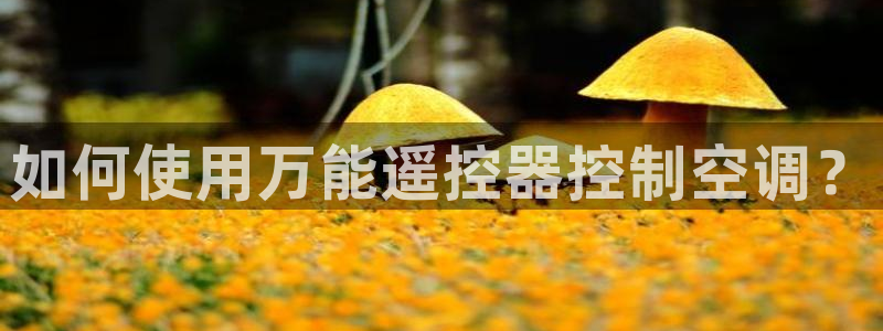 环球360最新官方登入网址