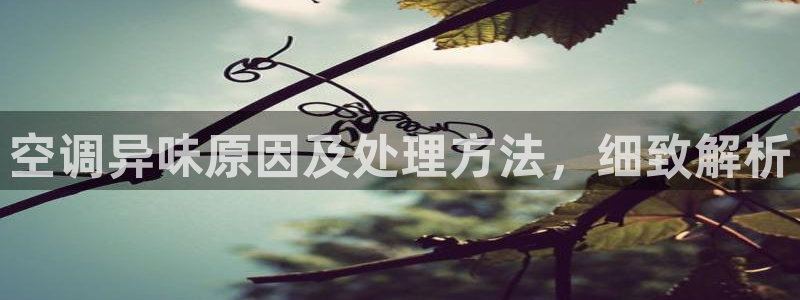 环球360官网手机版下载安卓版