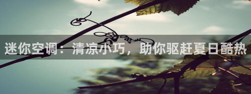 环球360官网入口网址