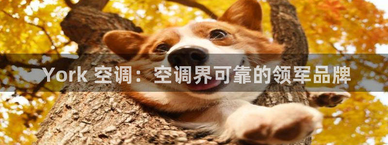 环球360会员登录入口在哪里