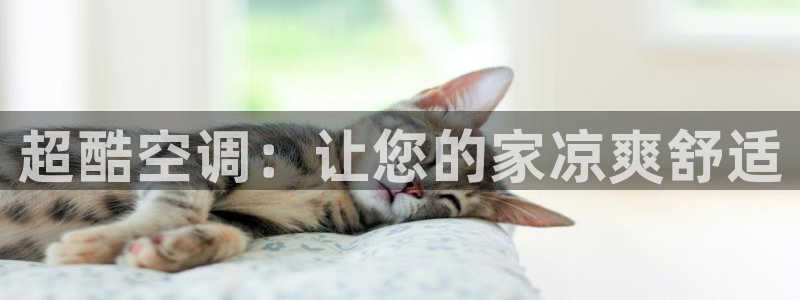 菲律宾环球360官网下载