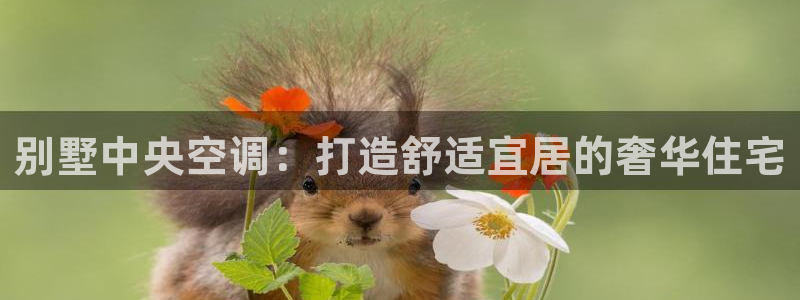 菲律宾环球360下载地址查询