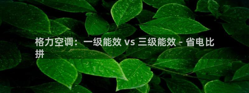 环球360游戏在线注册