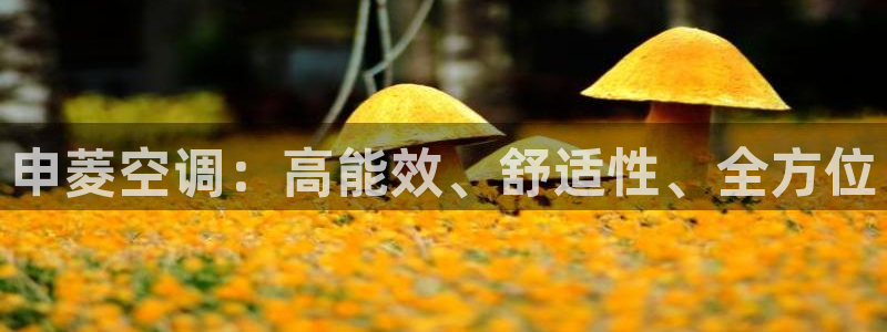 环球360菲律宾管理网