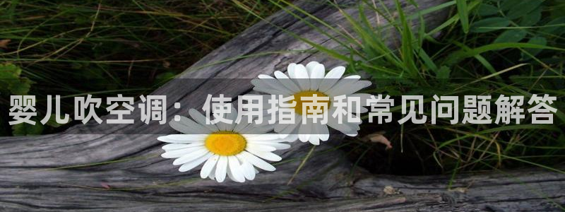 下载环球360