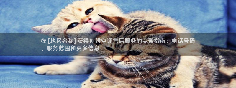 环球360会员登录