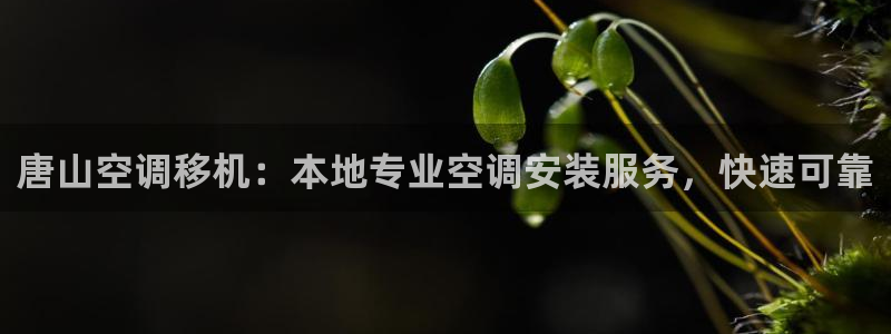 环球360代理开户