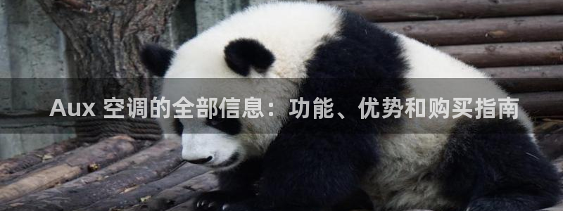 环球360是干嘛的