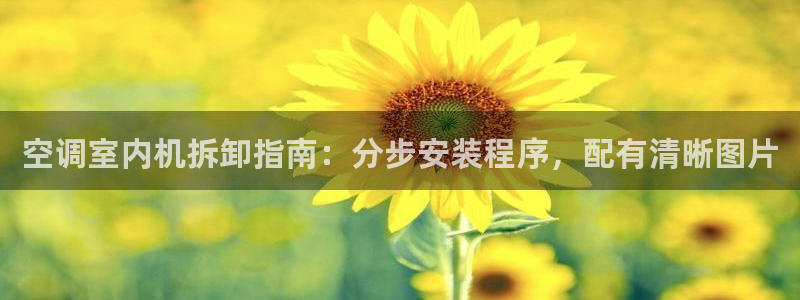菲律宾环球360代理
