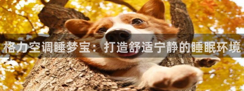 环球360官网手机版特色