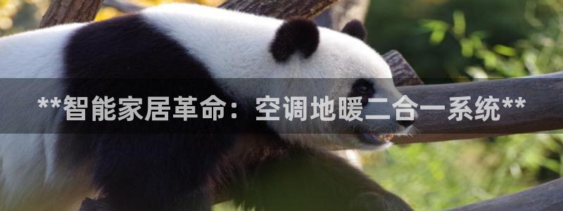环球360菲律宾