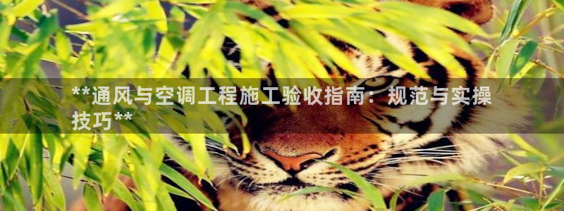 环球360假网