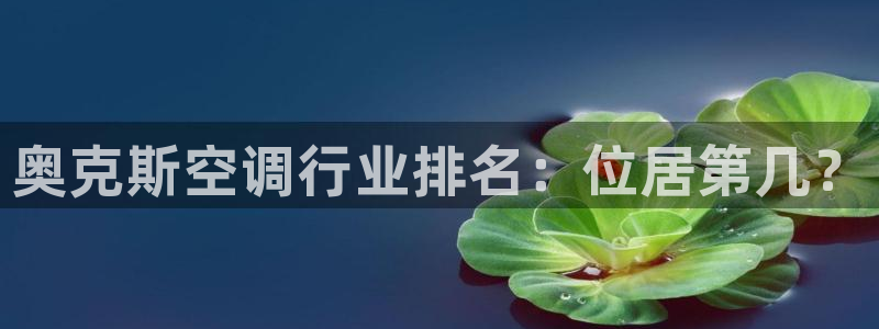 环球360正网